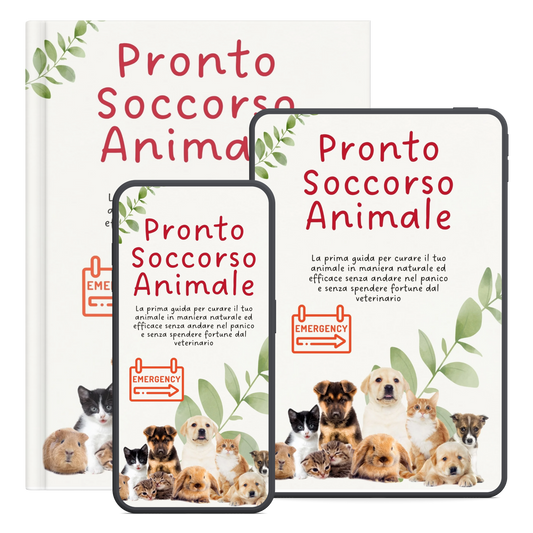 Pronto Soccorso Animale